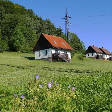 Green Valley Park Villa Starkov  Luaran gambar