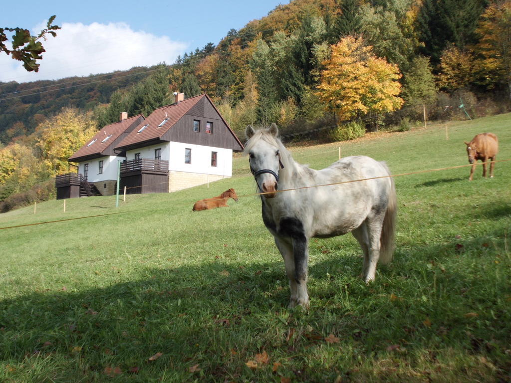 Green Valley Park Villa Starkov  Luaran gambar