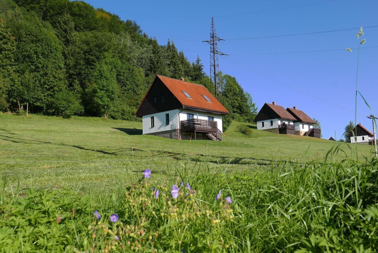 Green Valley Park Villa Starkov  Luaran gambar